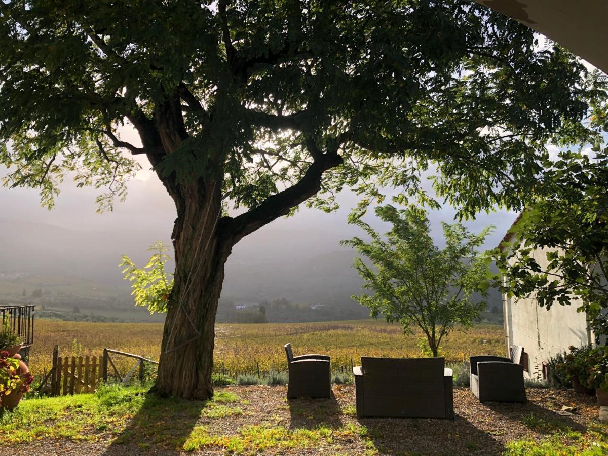 Vila Azienda Agricola Il Poggiolino Pelago Exteriér fotografie