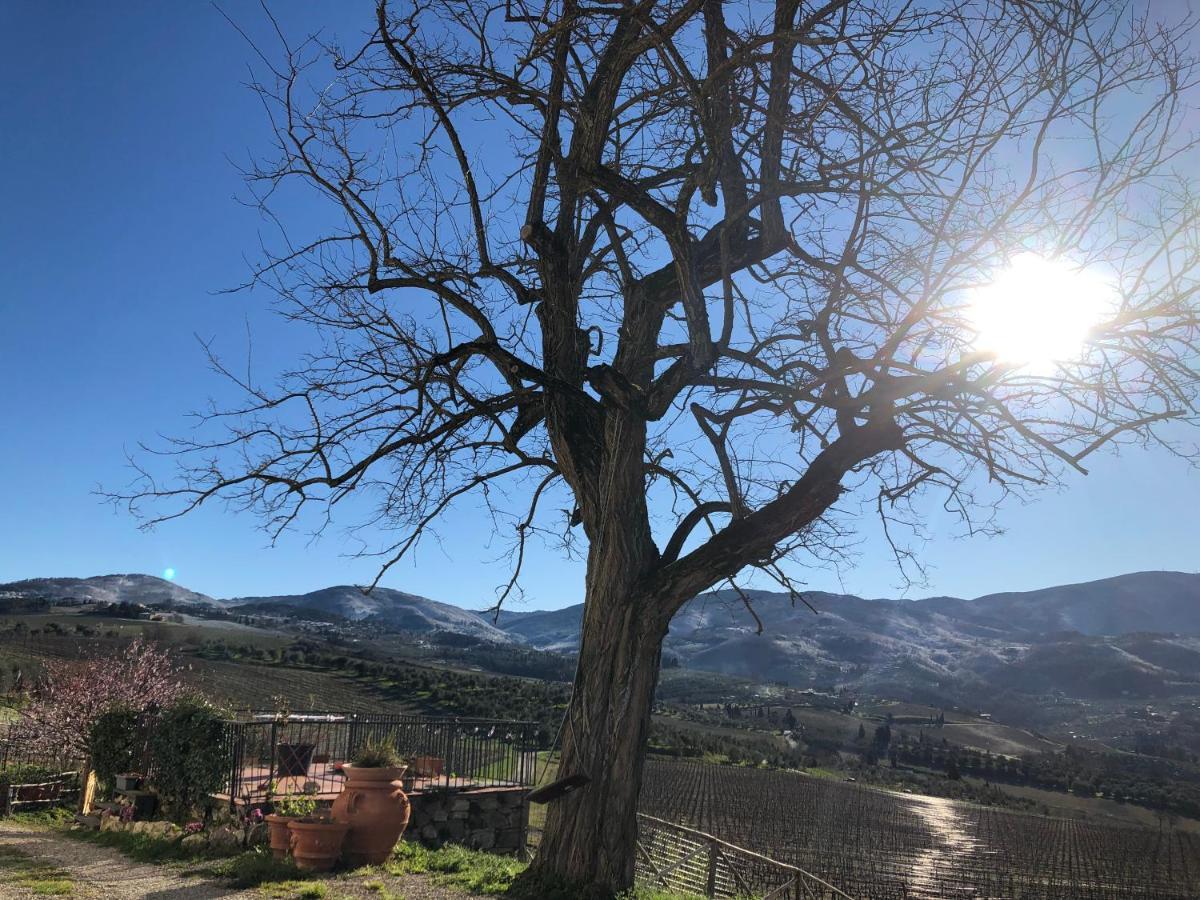 Vila Azienda Agricola Il Poggiolino Pelago Exteriér fotografie