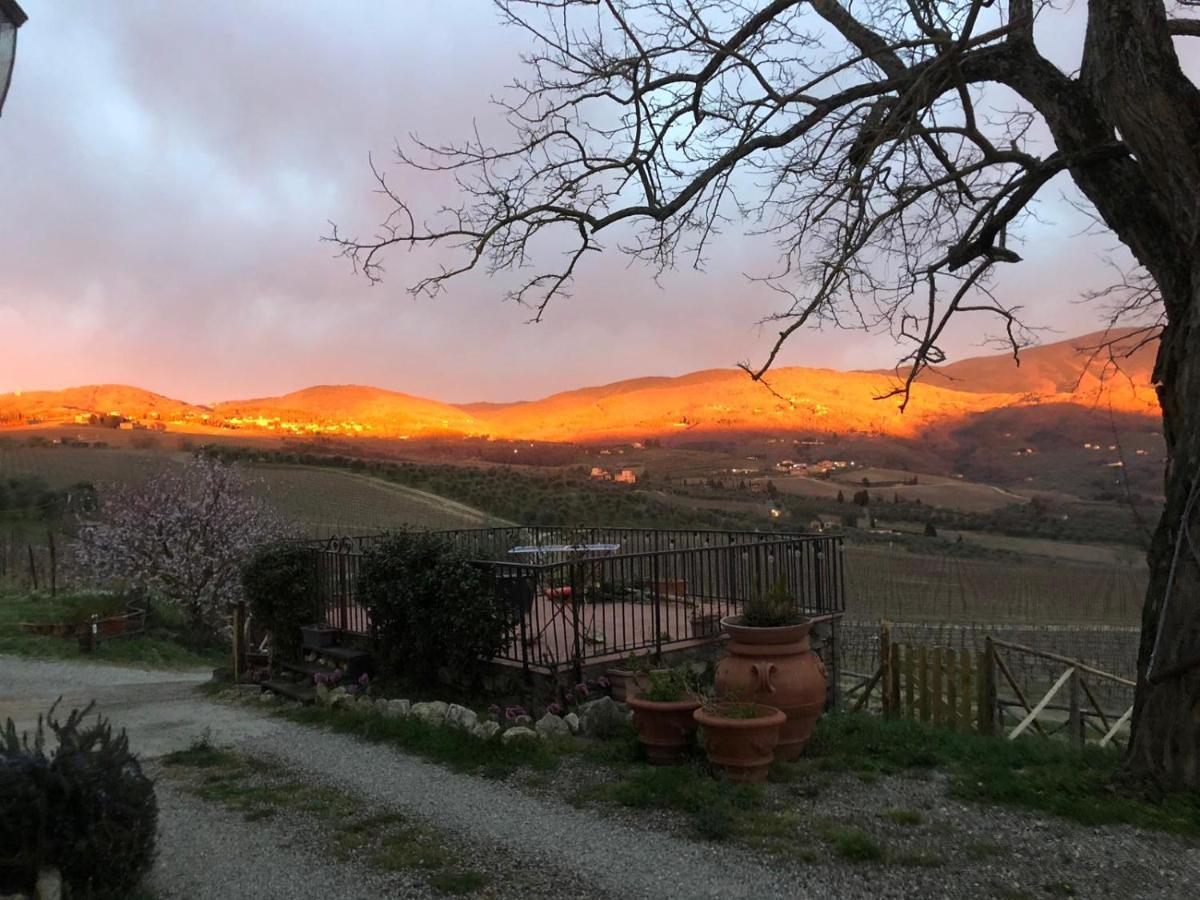 Vila Azienda Agricola Il Poggiolino Pelago Exteriér fotografie