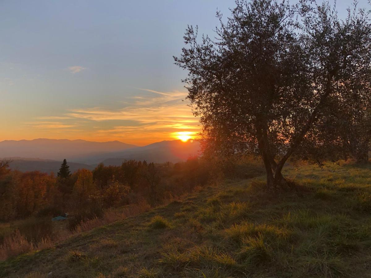 Vila Azienda Agricola Il Poggiolino Pelago Exteriér fotografie