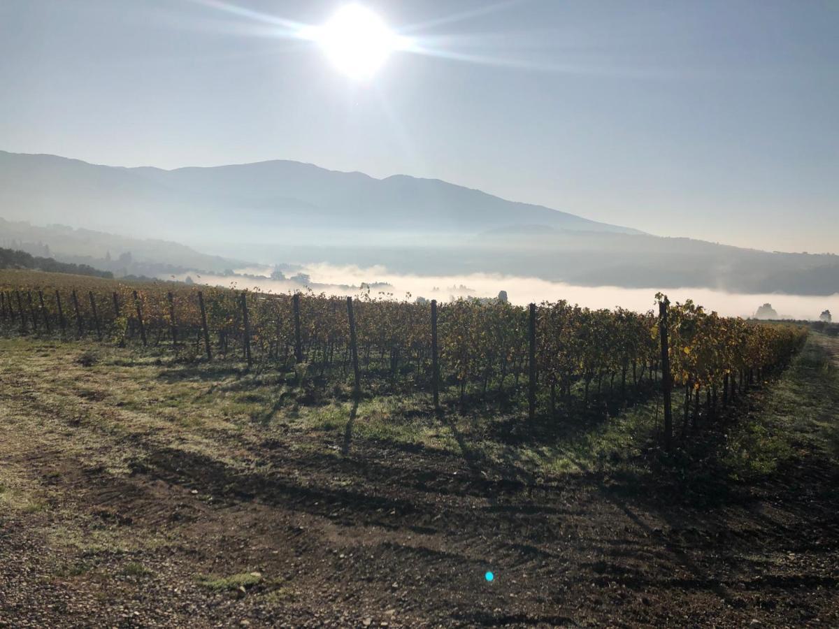 Vila Azienda Agricola Il Poggiolino Pelago Exteriér fotografie