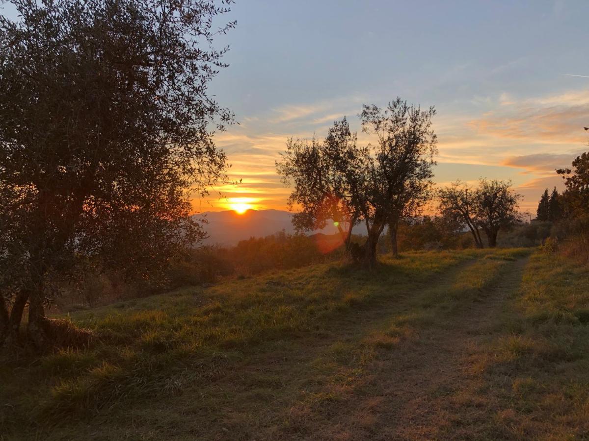 Vila Azienda Agricola Il Poggiolino Pelago Exteriér fotografie